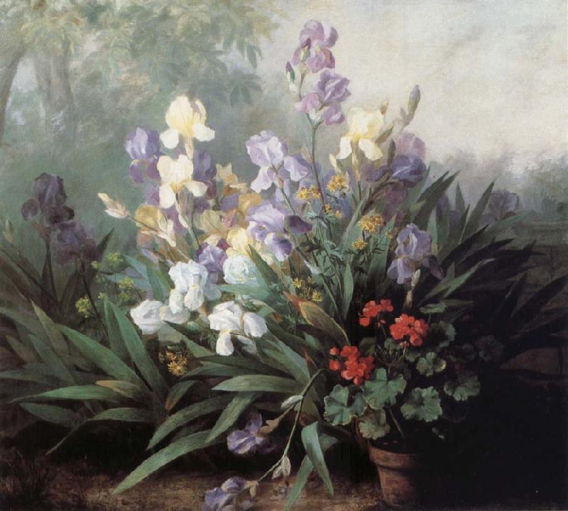 Barbara Bodichon Landscape with Irises